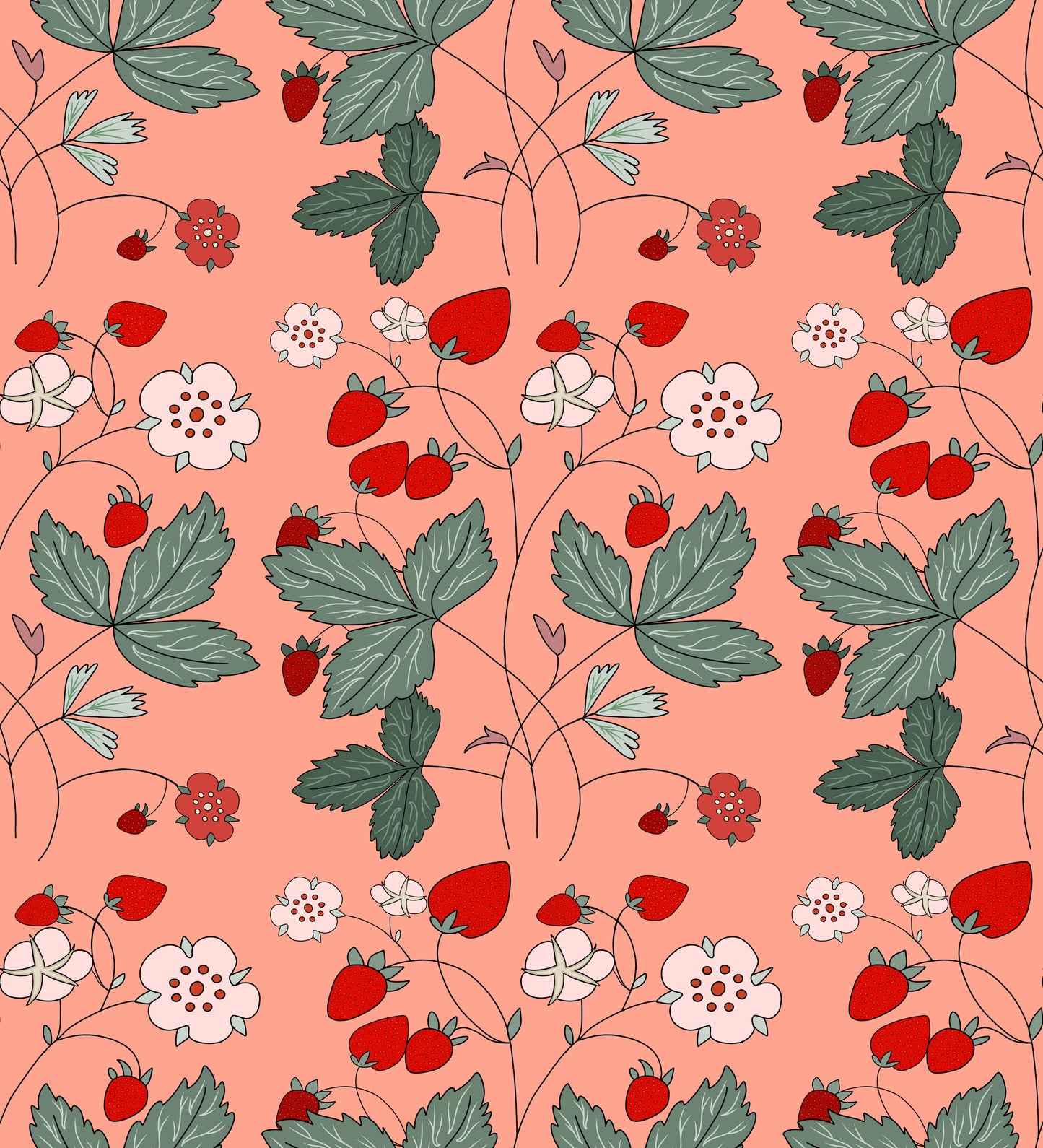 Museum Collection Exercise Notebook - Strawberries
