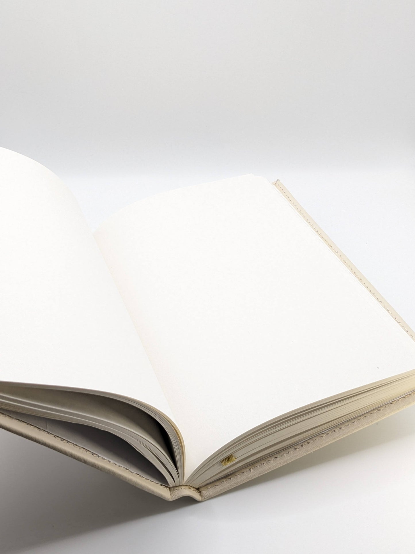 Large Nude Leather Notebook