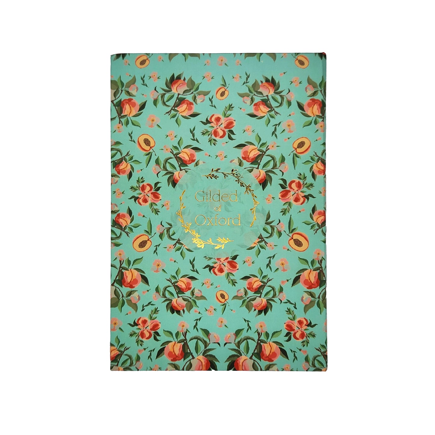 Hardback Sticky Notes Books - Mint Peaches