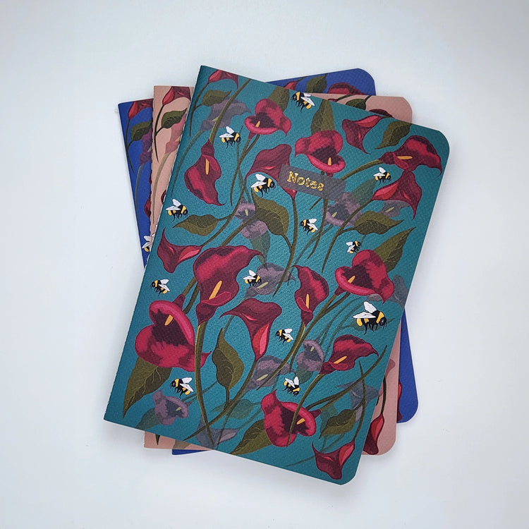 Exercise Notebooks