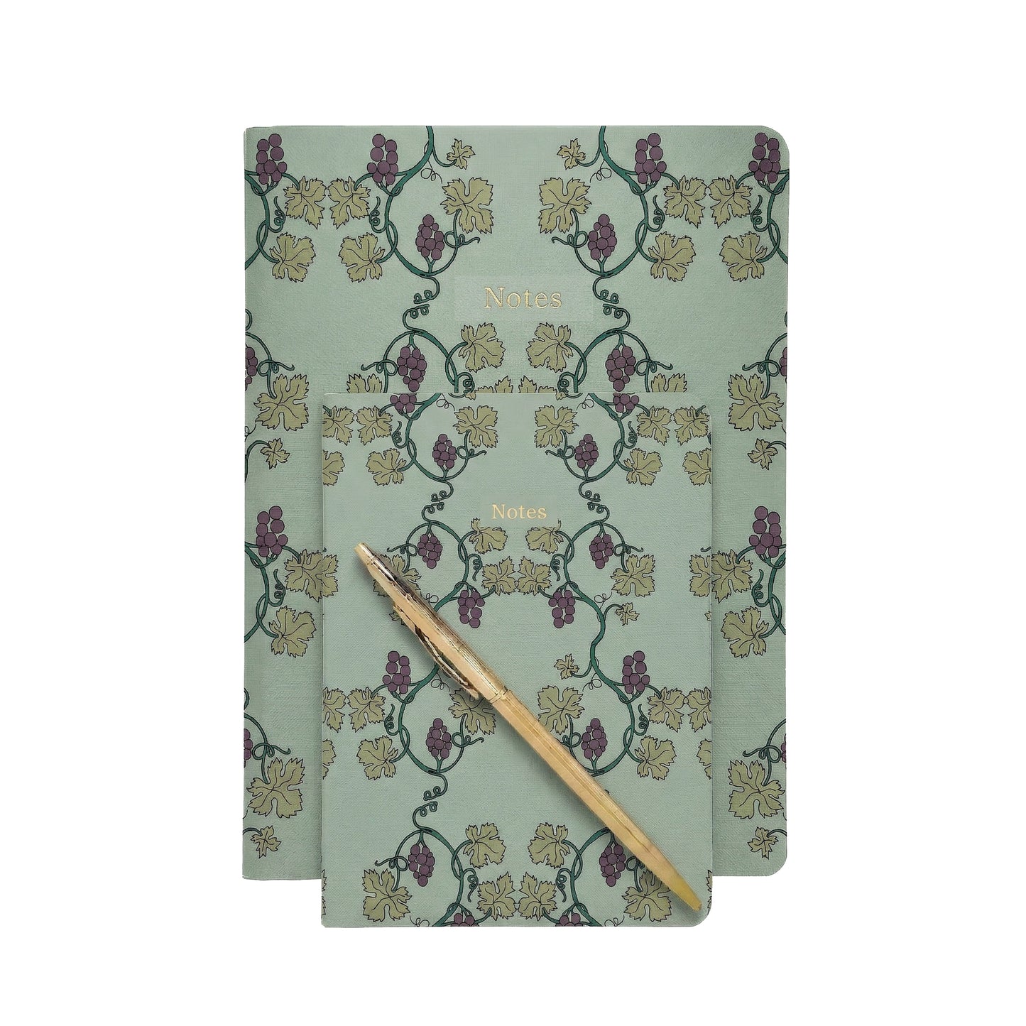 Museum Collection Exercise Notebook - Grapevines