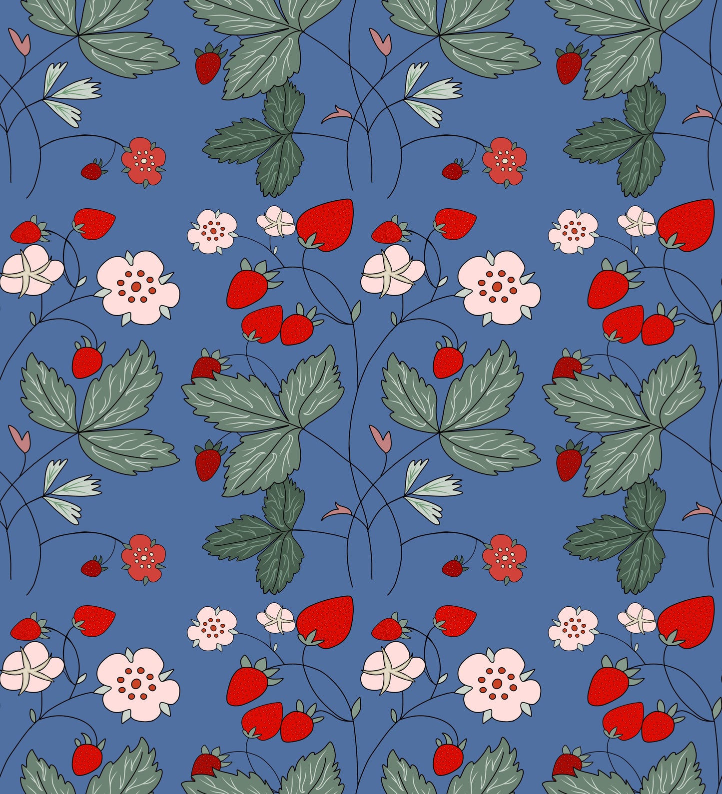 Museum Collection Exercise Notebook - Strawberries