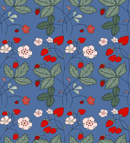 Museum Collection Exercise Notebook - Strawberries