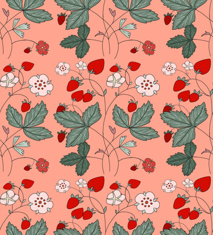 Museum Collection Exercise Notebook - Strawberries