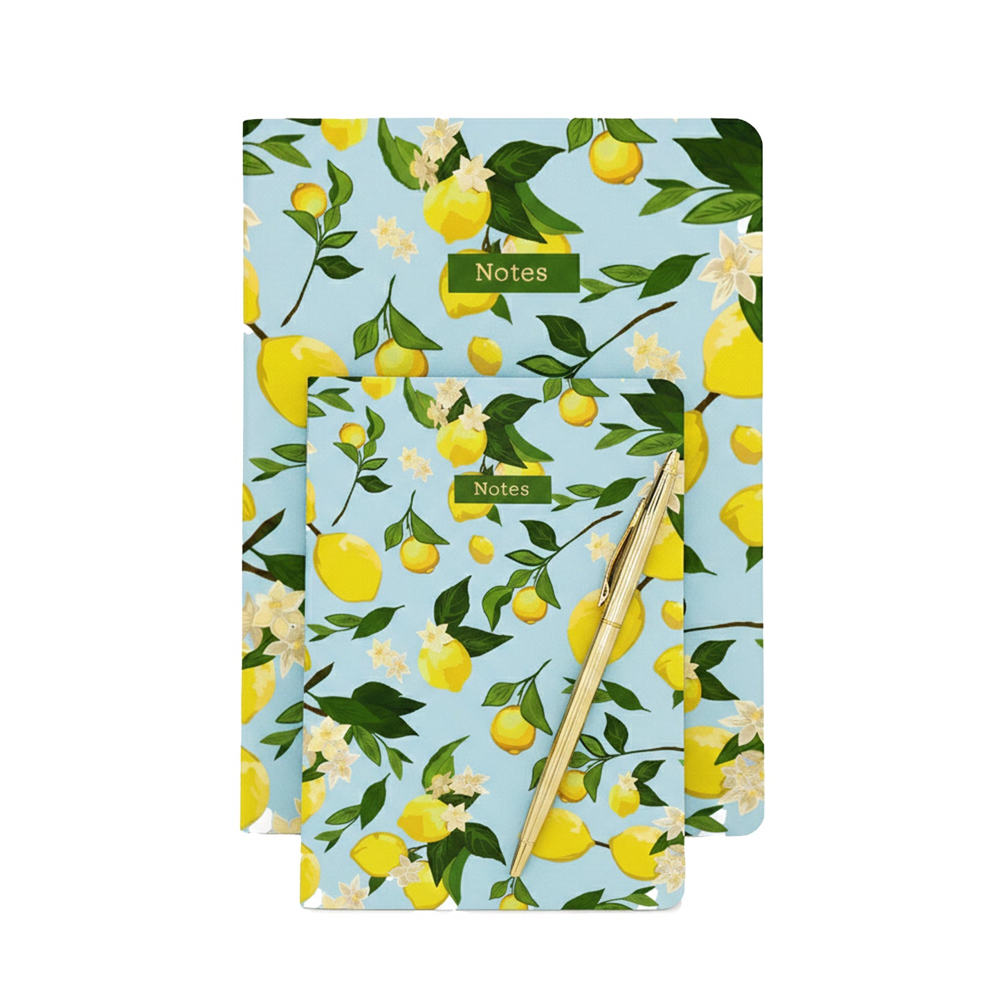 Botanical Collection Exercise Notebook - Sky Blue Lemons