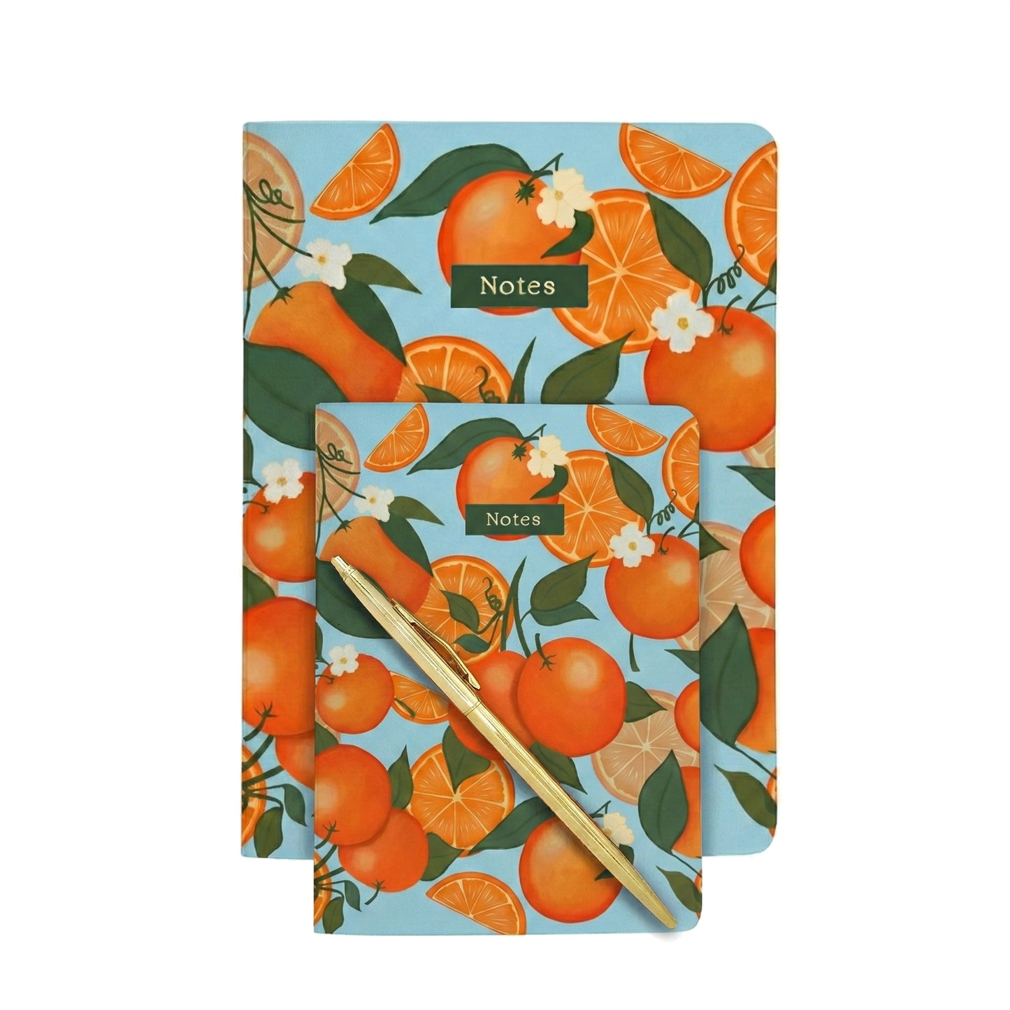 Botanical Collection Exercise Notebook - Sky Blue Oranges