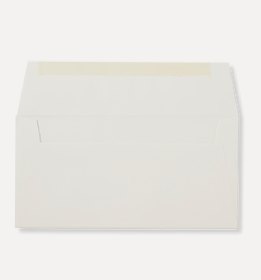 Large Envelopes (Box of 25)