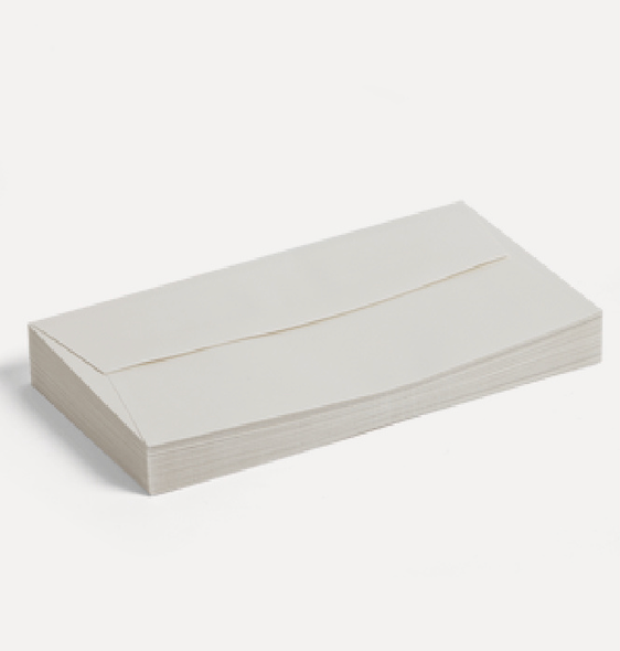 Large Envelopes (Box of 25)