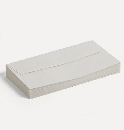 Large Envelopes (Box of 25)