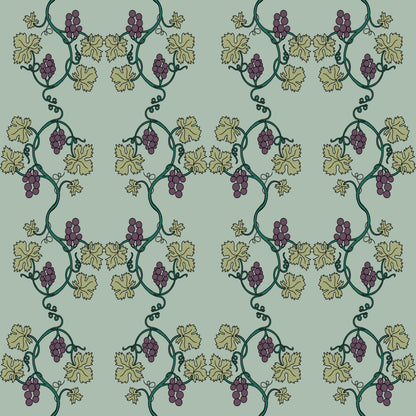 Museum Collection Exercise Notebook - Grapevines