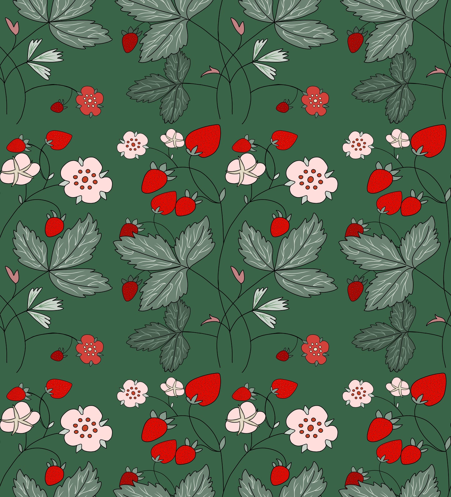 Museum Collection Exercise Notebook - Strawberries