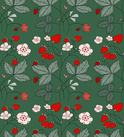 Museum Collection Exercise Notebook - Strawberries