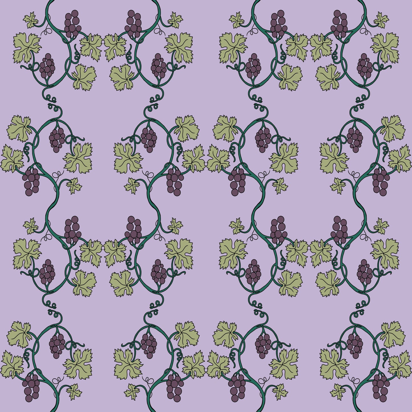 Museum Collection Exercise Notebook - Grapevines