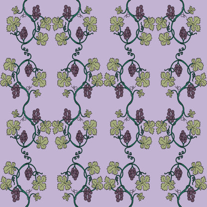 Museum Collection Exercise Notebook - Grapevines