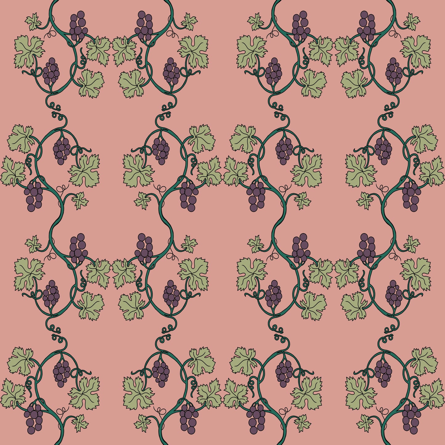 Museum Collection Exercise Notebook - Grapevines