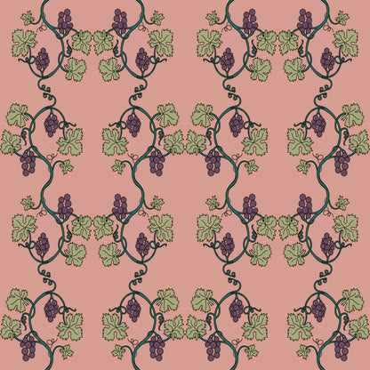 Museum Collection Exercise Notebook - Grapevines