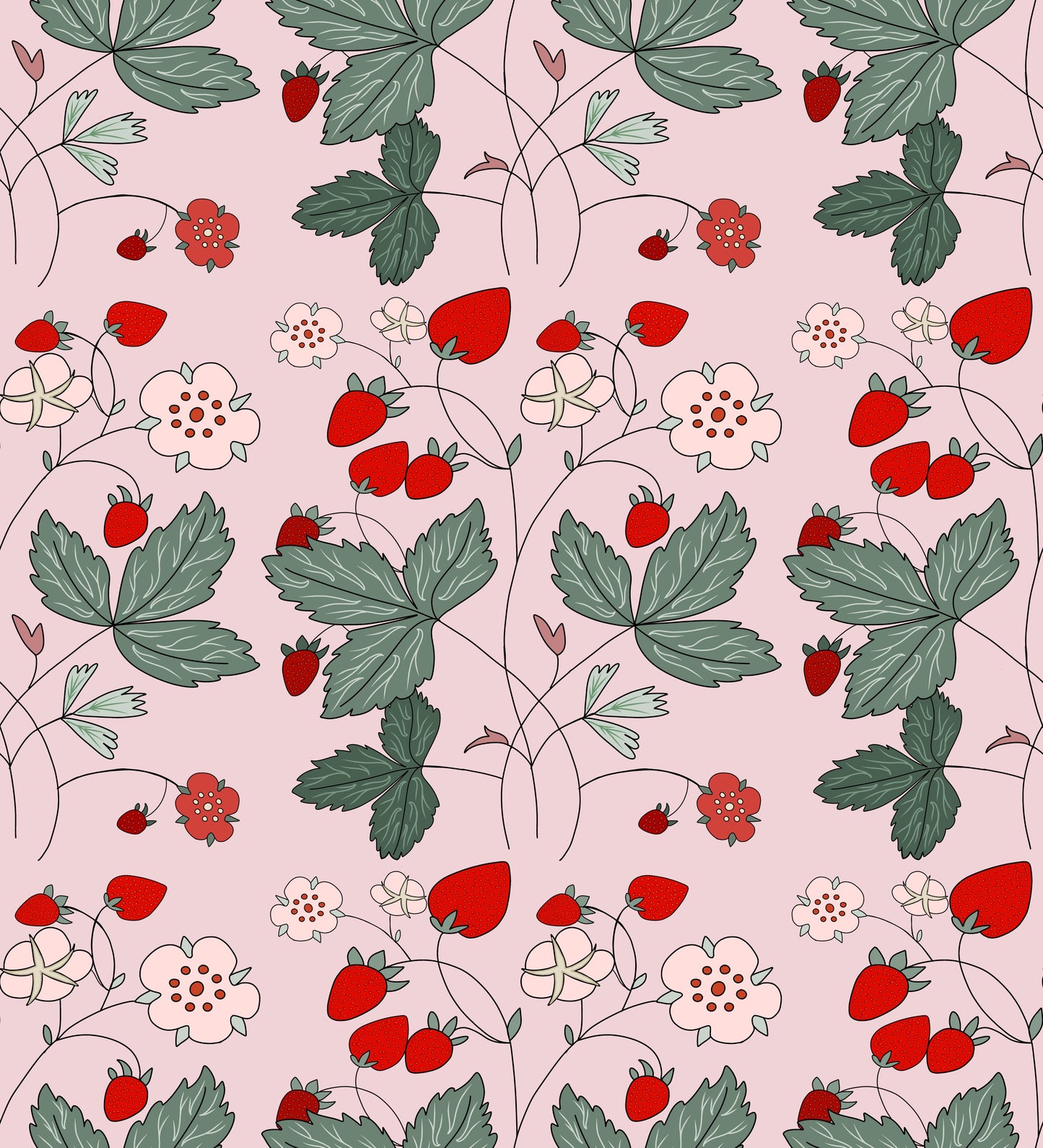 Museum Collection Exercise Notebook - Strawberries