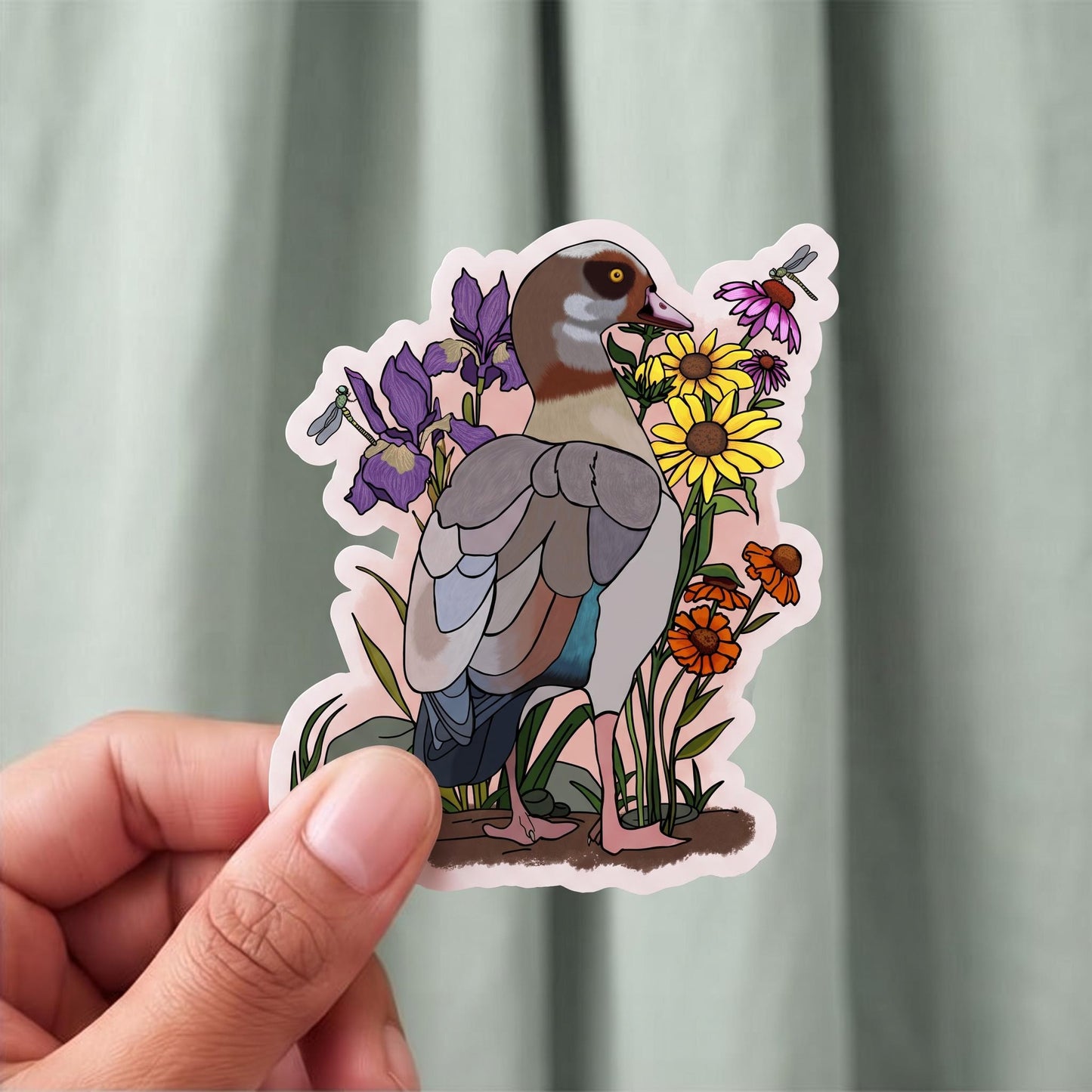 Egyptian Goose bird sticker